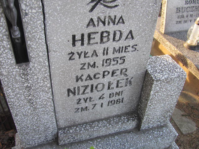 Kacper Niziałek Kowala - Grobonet - Wyszukiwarka osób pochowanych